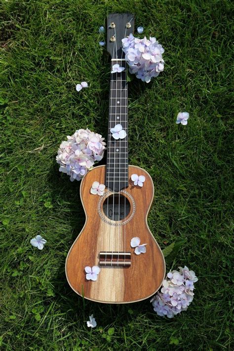 ukulele aesthetic wallpaper